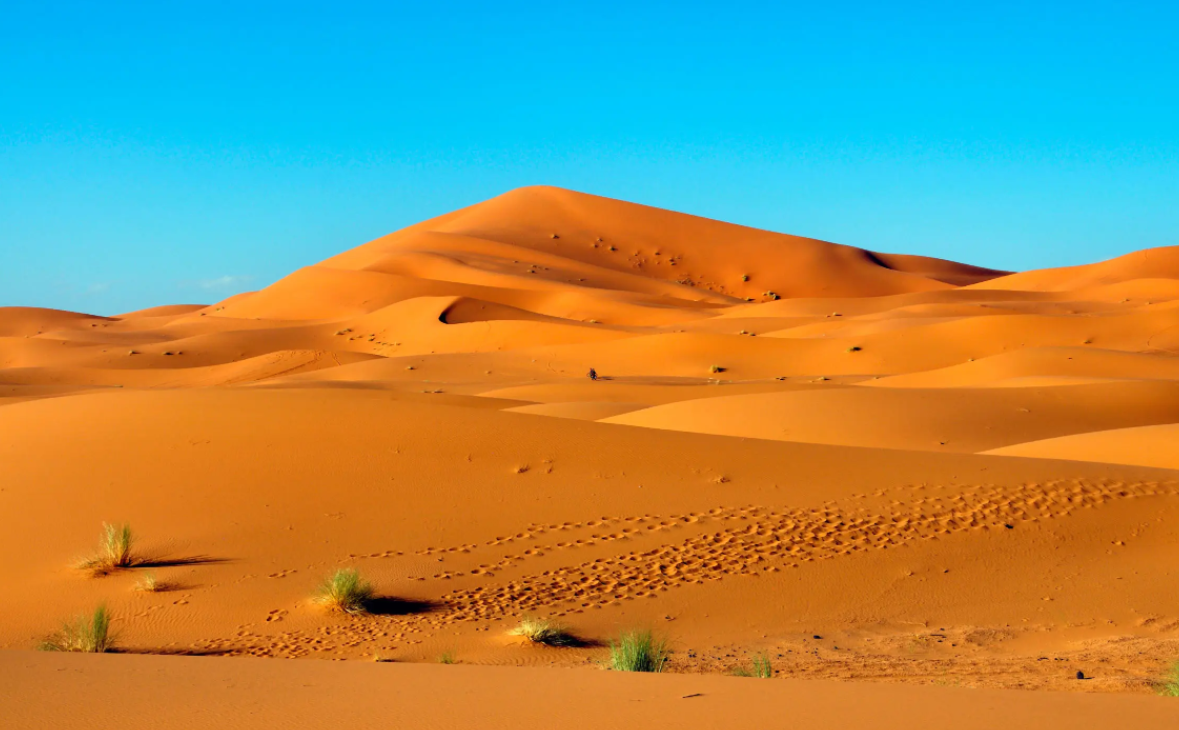 阿拉善尚容源生物科技