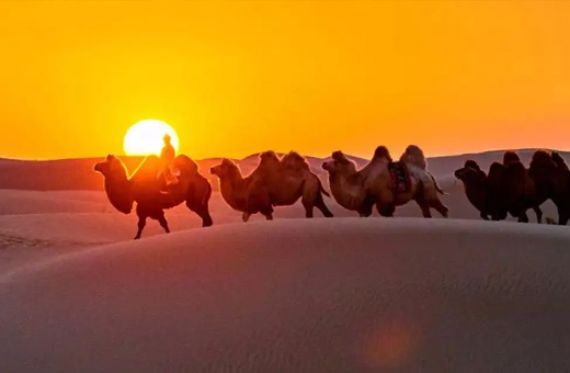 内蒙古青龍山農副商城